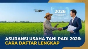 Asuransi Usaha Tani Padi 2026: Cara Daftar Lengkap