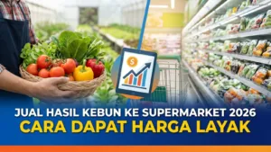 Jual Hasil Kebun ke Supermarket 2026: Cara Dapat Harga Layak