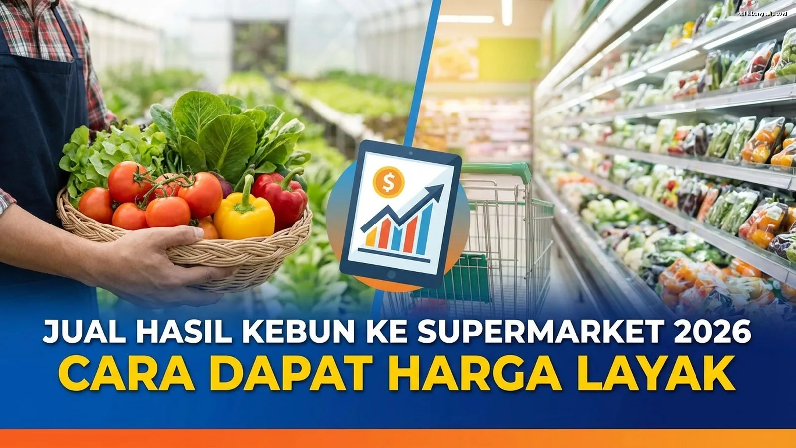 Jual Hasil Kebun ke Supermarket 2026: Cara Dapat Harga Layak Jual Hasil Kebun ke Supermarket 2026: Cara Dapat Harga Layak
