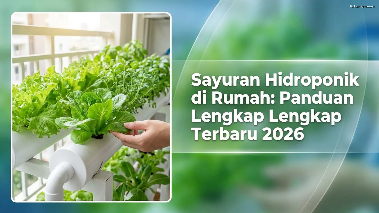 Sayuran Hidroponik di Rumah: Panduan Lengkap Terbaru 2026