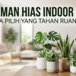 Tanaman Hias Indoor 2026: Cara Pilih yang Tahan Ruangan