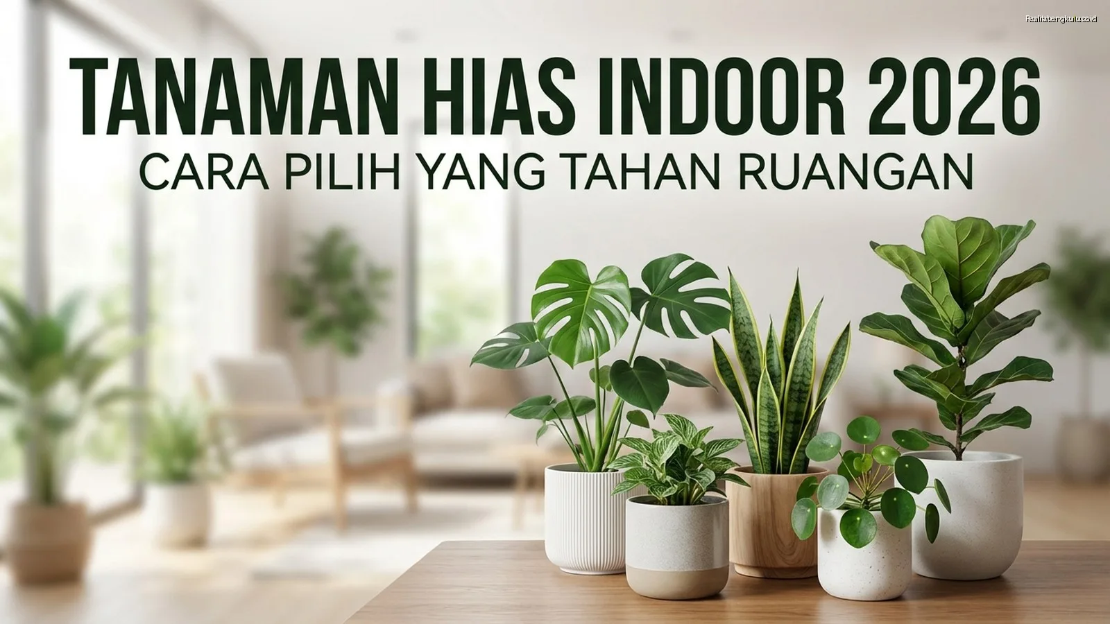 Tanaman Hias Indoor 2026: Cara Pilih yang Tahan Ruangan