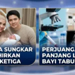 Zaskia Sungkar Melahirkan Anak Ketiga Lewat Bayi Tabung, Begini Perjuangan Panjangnya