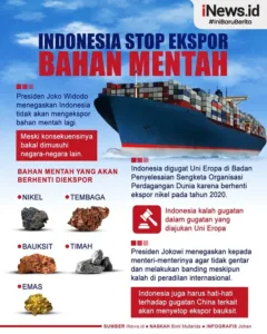 Ekspor Bahan Mentah – Indonesia Rugi Rp 300 Triliun Per Tahun