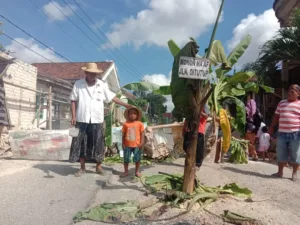 Jalan Rusak Kayen Pati Ditanami Pisang, Warga Protes