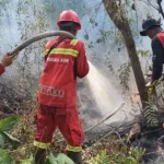 Pengendalian Karhutla Riau – 387 Personel dan Armada Udara Digerahkan Terbaru 2026
