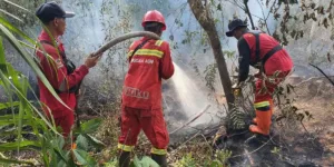 Pengendalian Karhutla Riau – 387 Personel dan Armada Udara Digerahkan Terbaru 2026