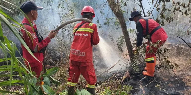Pengendalian Karhutla Riau – 387 Personel dan Armada Udara Digerahkan Terbaru 2026 Pengendalian Karhutla Riau – 387 Personel dan Armada Udara Digerahkan Terbaru 2026