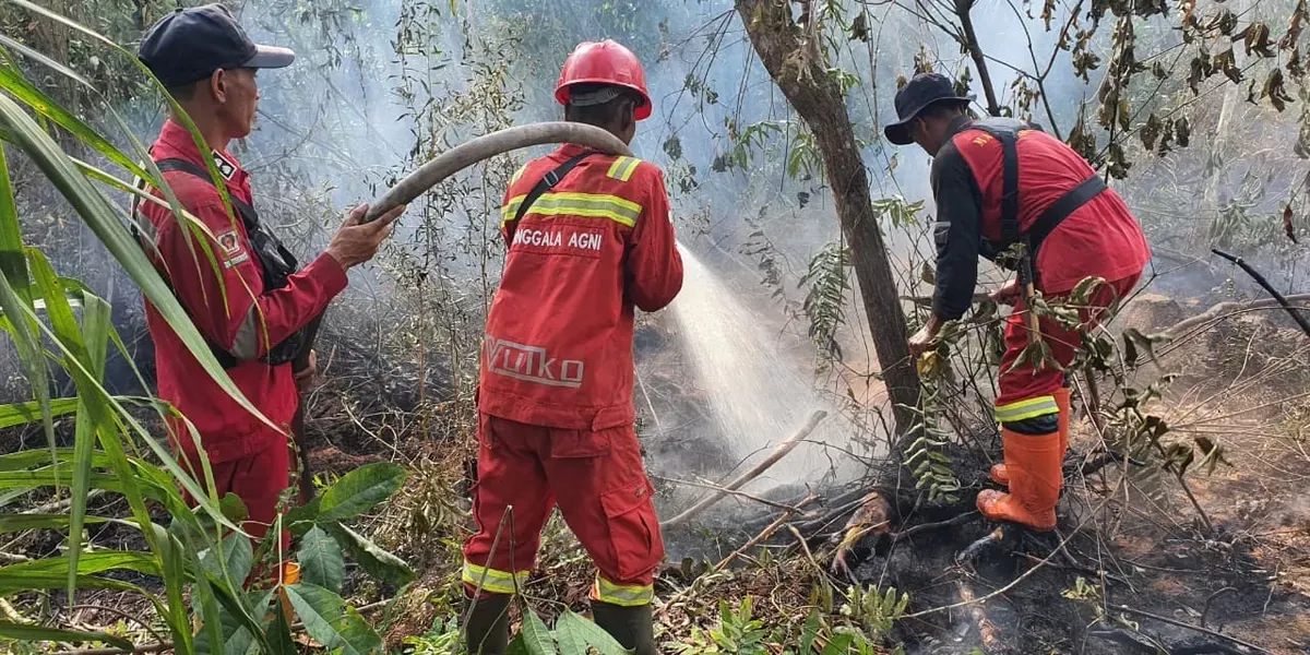 Pengendalian Karhutla Riau – 387 Personel dan Armada Udara Digerahkan Terbaru 2026