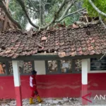 Pohon Tumbang Timpa Kelas – 6 Siswa SDN Cianjur Alami Luka