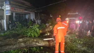 Pohon Tumbang Timpa Mobil di Jombang – Kronologi Lengkap Kejadian