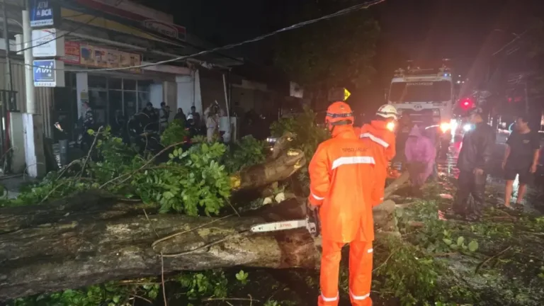 Pohon Tumbang Timpa Mobil di Jombang – Kronologi Lengkap Kejadian Pohon Tumbang Timpa Mobil di Jombang – Kronologi Lengkap Kejadian