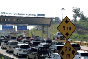 Rusa Tersambar Mobil di Tol Fungsional Serang-Panimbang Banten