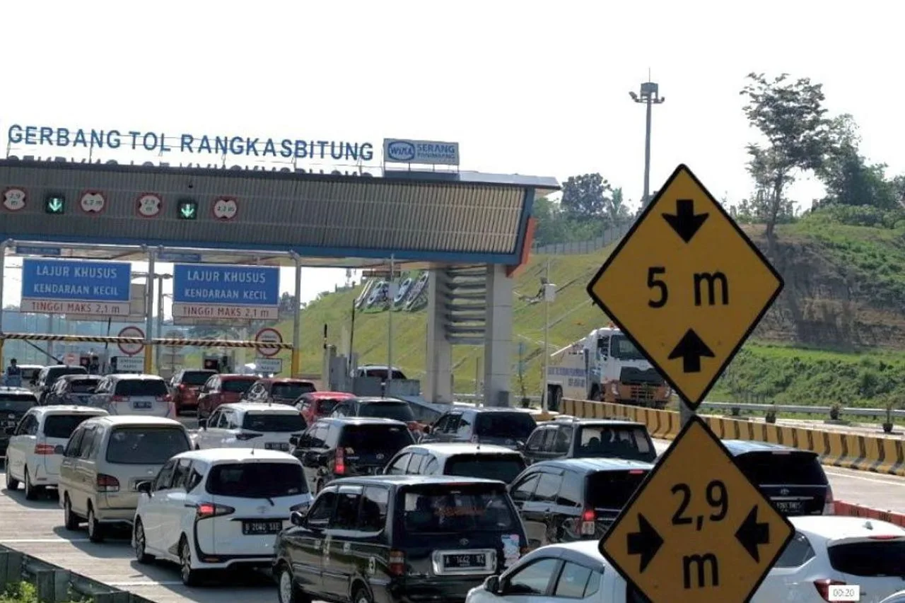 Rusa Tersambar Mobil di Tol Fungsional Serang-Panimbang Banten Rusa Tersambar Mobil di Tol Fungsional Serang-Panimbang Banten