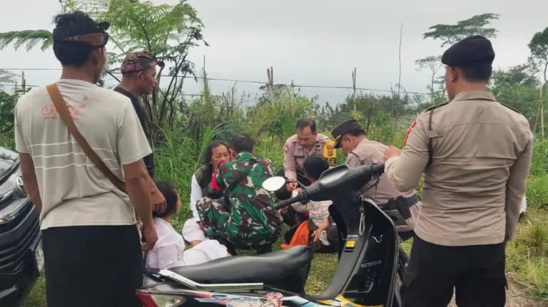 Serangan Lebah di Pura – 12 Jemaah Denpasar Tersengat saat Bersembahyang Serangan Lebah di Pura – 12 Jemaah Denpasar Tersengat saat Bersembahyang