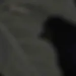 Fenomena Langit April 2026: Pink Moon hingga Lyrids