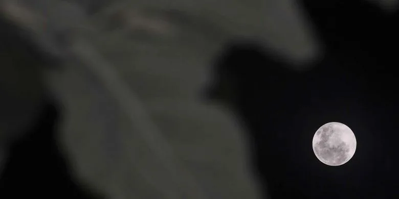 Fenomena Langit April 2026: Pink Moon hingga Lyrids Fenomena Langit April 2026: Pink Moon hingga Lyrids